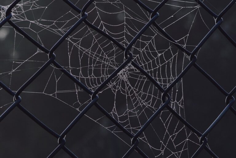 spider web, dewdrop, fence-7539609.jpg