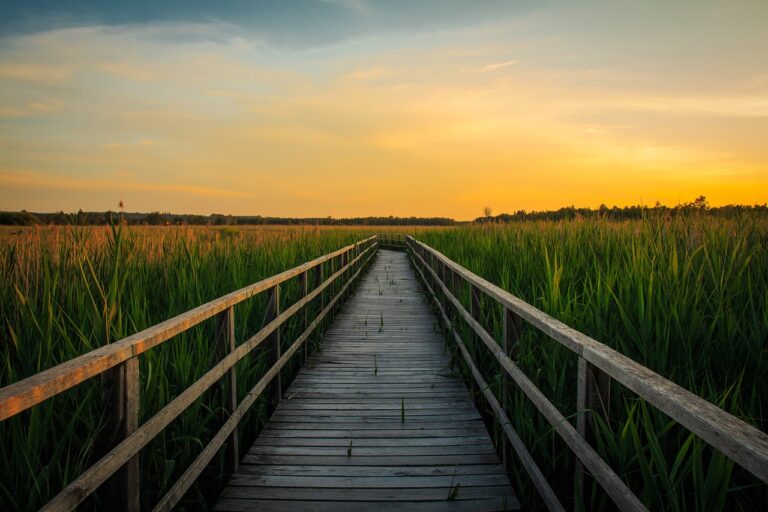 sunset, federsee, bad buchau-2739472.jpg